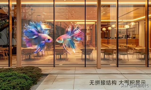 洲明全息显示开辟崭新沉浸式视觉时代J9国际网站定义空间的光显魔法师(图6)